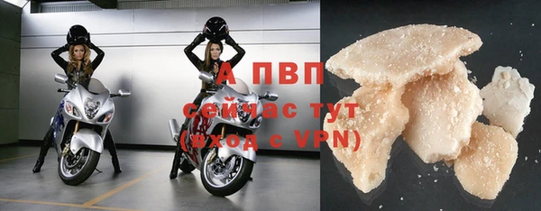 гидра Вязники