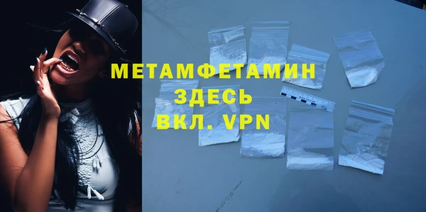 прущие грибы Горняк