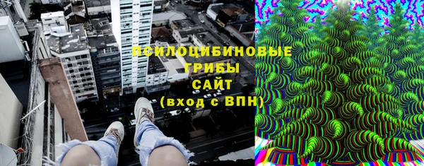 гидра Вязники