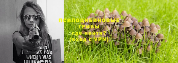 гидра Вязники