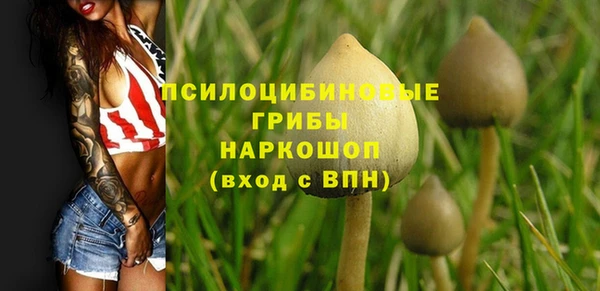 альфа пвп Вяземский