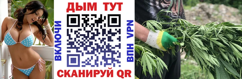 Конопля сатива  Купить  Покачи 